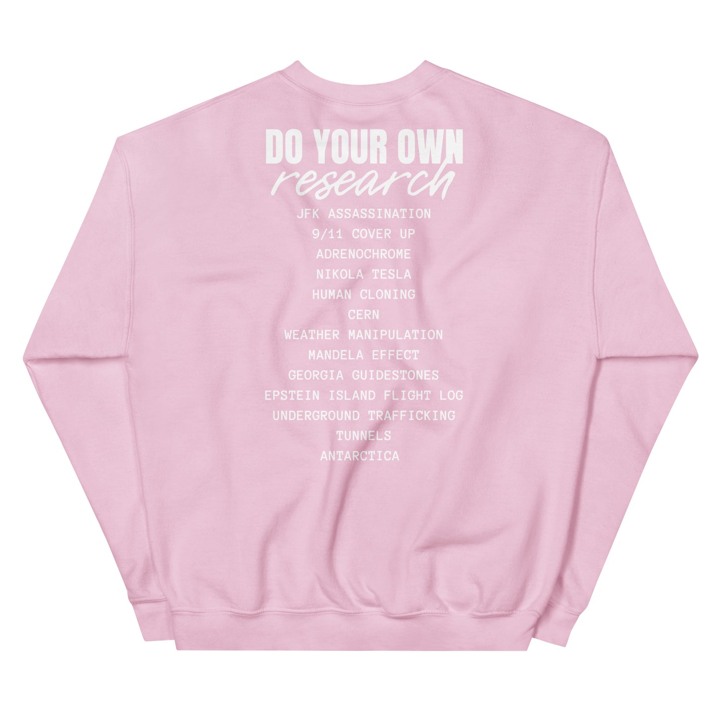 Conspiracy Theory Expert Unisex Sweatshirt