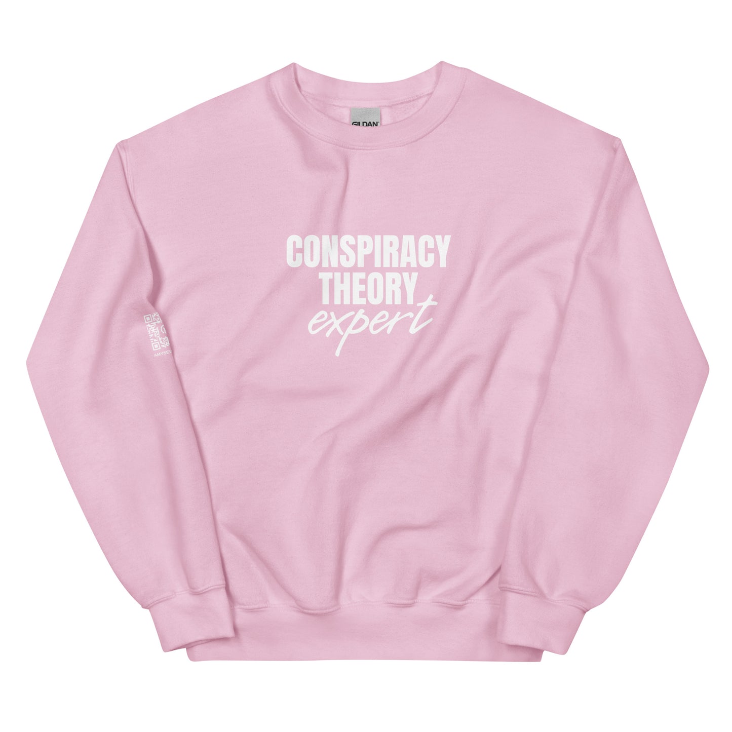 Conspiracy Theory Expert Unisex Sweatshirt