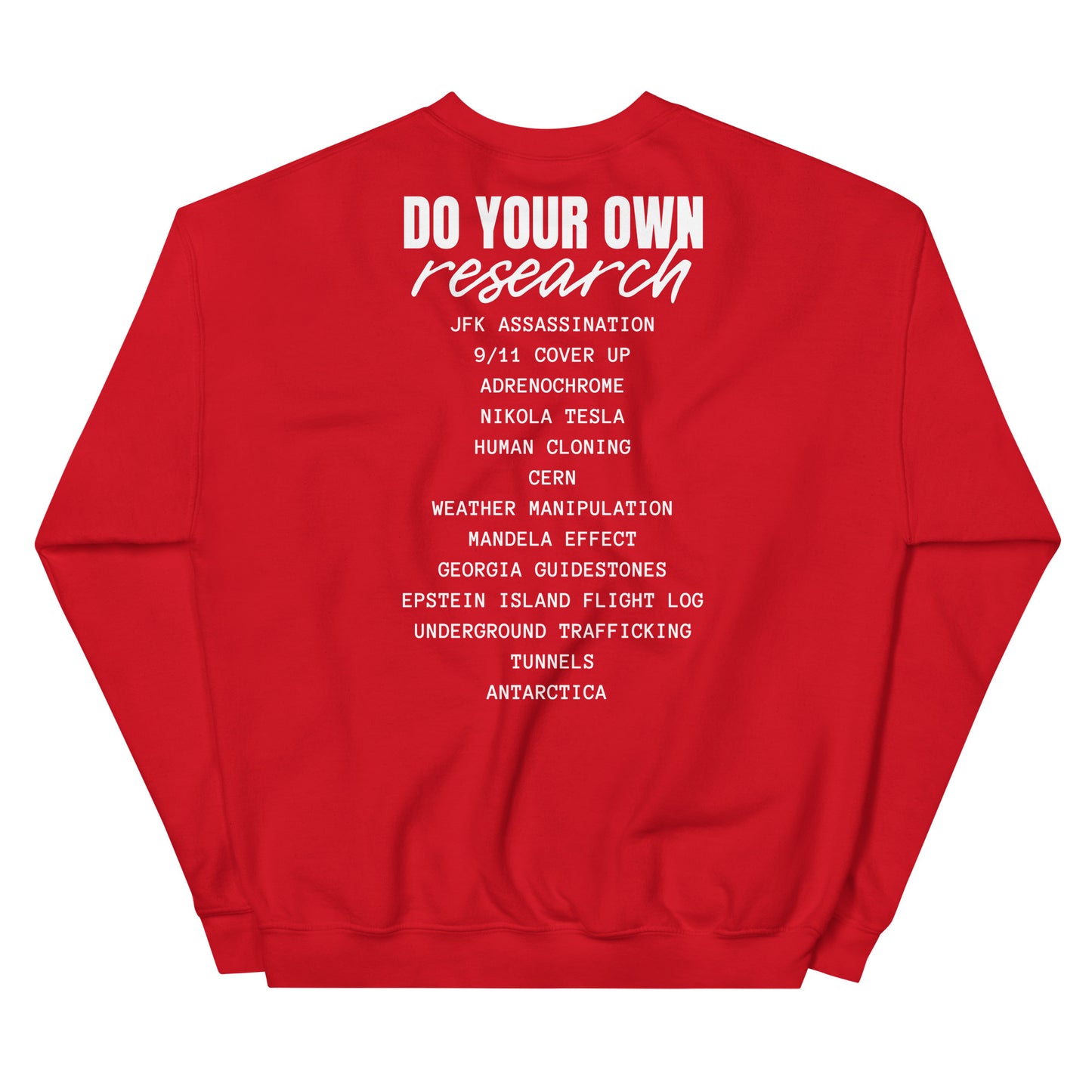 Conspiracy Theory Expert Unisex Sweatshirt
