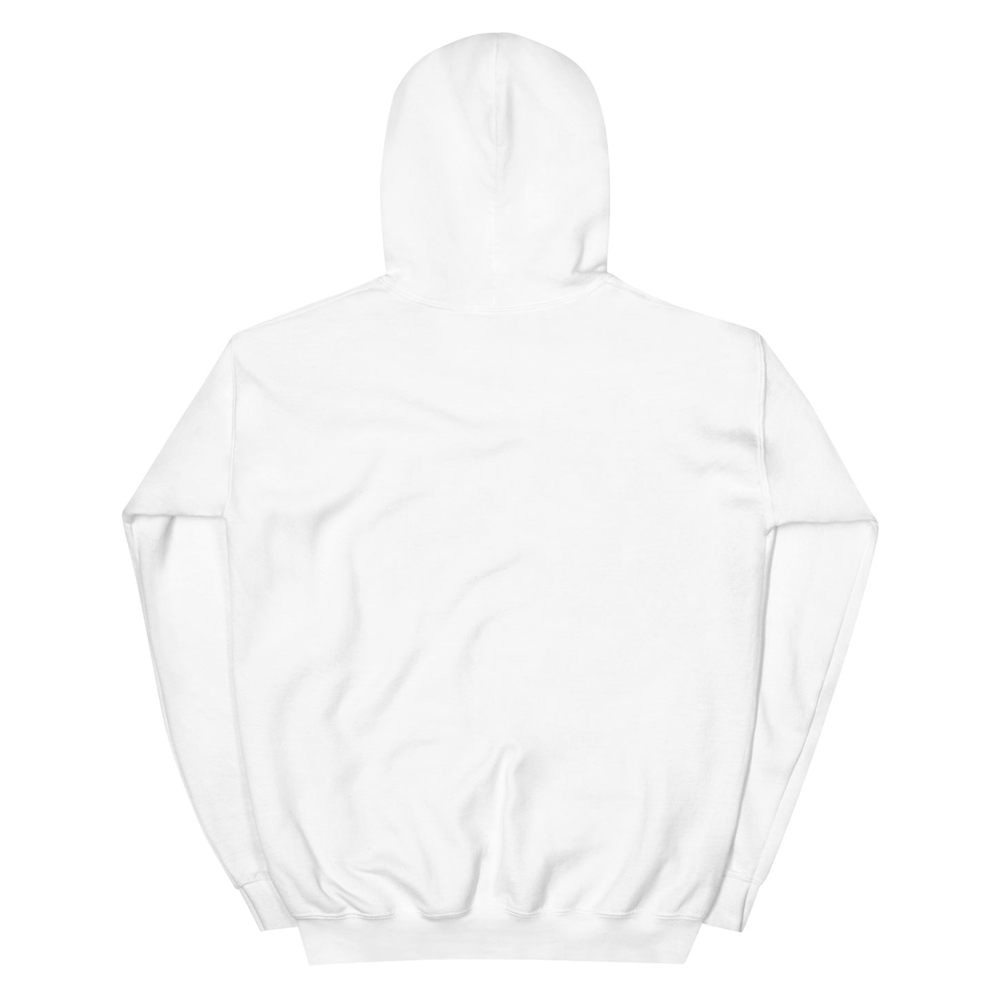 Come And Take It (black text) Unisex Hoodie