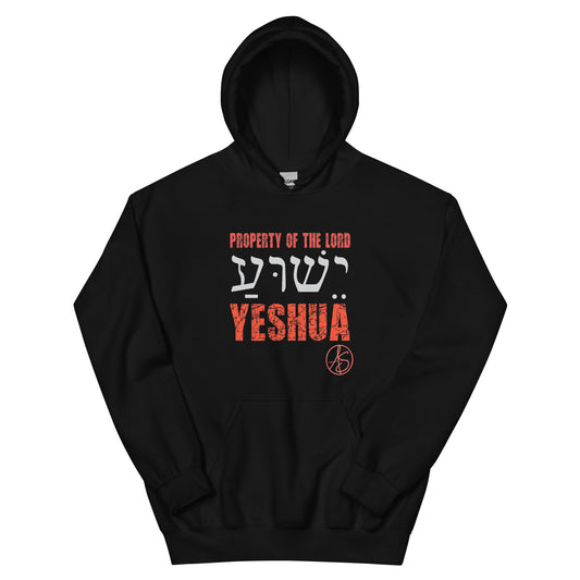 Property Of The Lord Unisex Hoodie