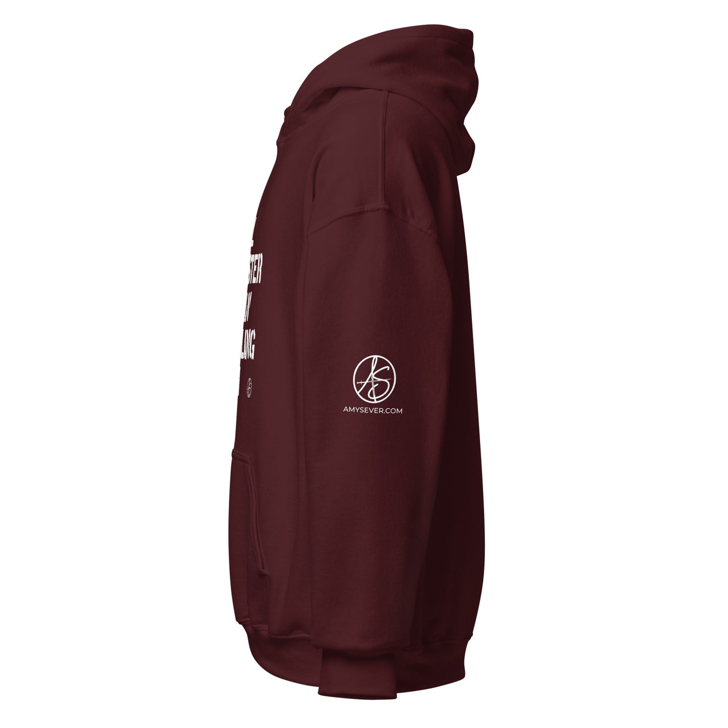 Faster Than 911 Unisex Hoodie