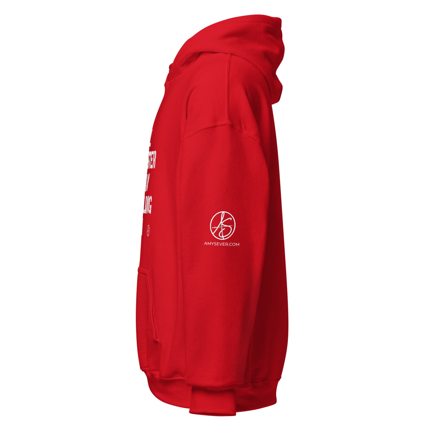 Faster Than 911 Unisex Hoodie
