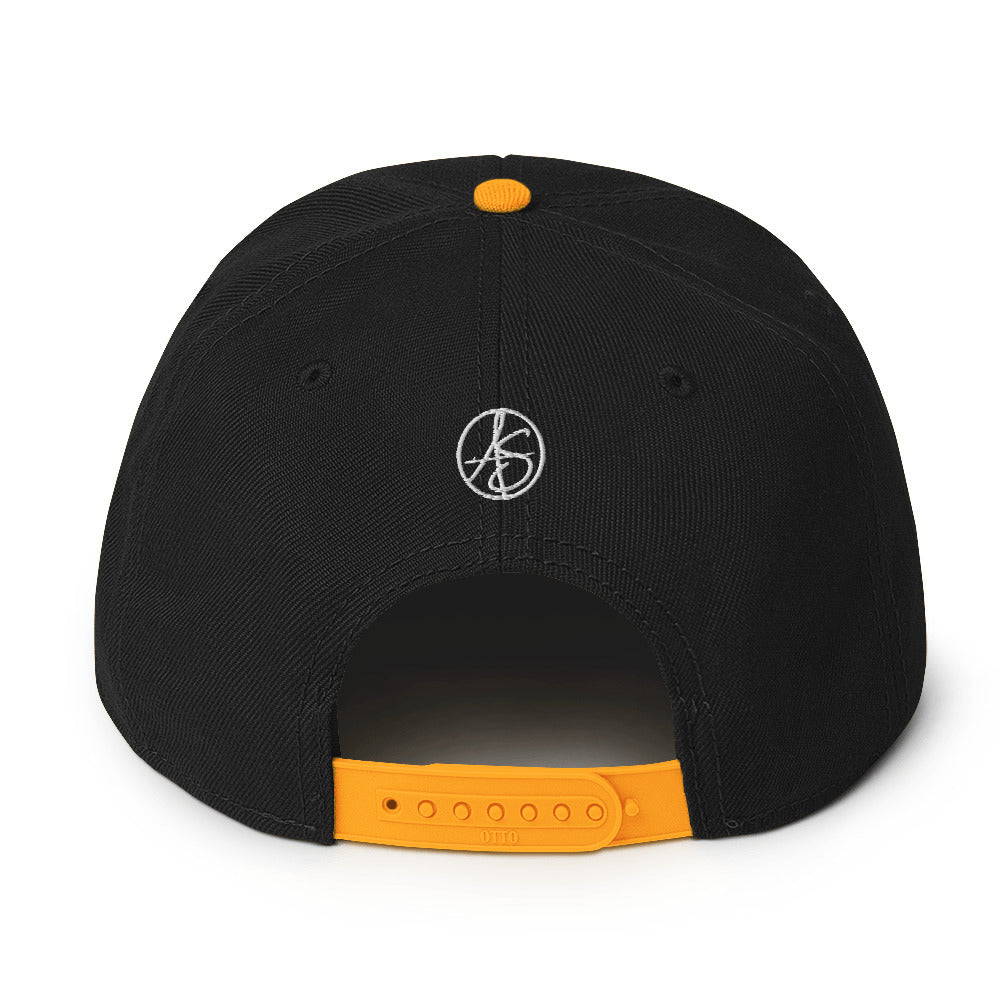 BS Analyzer Snapback Hat