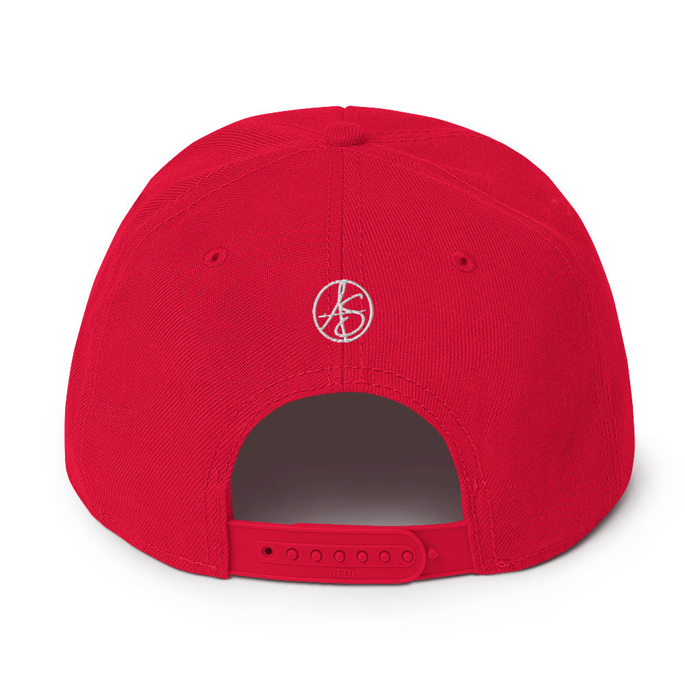 BS Analyzer Snapback Hat