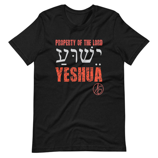 Property Of The Lord Unisex t-shirt