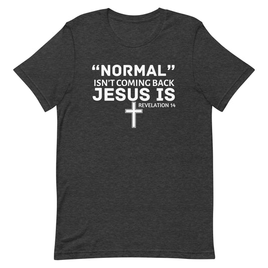 Normal Isn’t Coming Back Unisex t-shirt