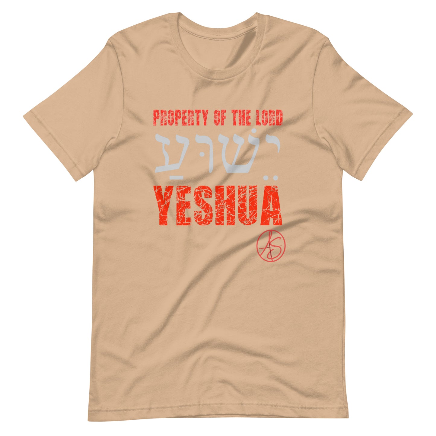 Property Of The Lord Unisex t-shirt